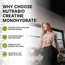 nutrabio-pure-micronized-creatine-monohy-3.jpg