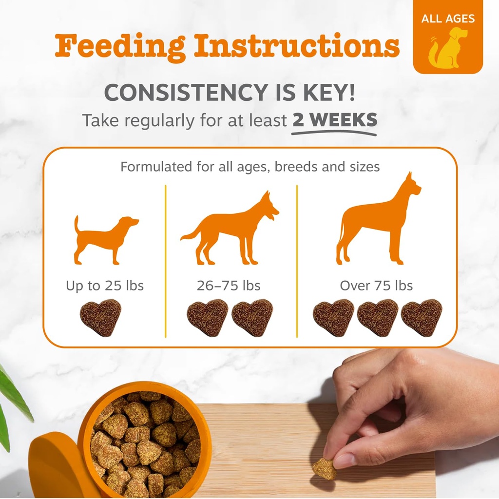 zesty-paws-probiotic-bites-probiotic-pow-4.jpg