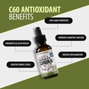 greska-s-c60-in-organic-olive-oil-45-day-4.jpg