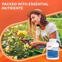 rugby-daily-vite-multivitamin-tablets-gl-5.jpg
