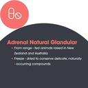 allergy-research-group-arg-adrenal-corte-6.jpg