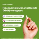 nmn-500mg-capsules-99-3-purity-nicotinam-2.jpg