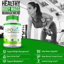 lipovive-capsules-maximum-strength-advan-4.jpg
