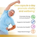 vitaligold-inmune-support-probiotic-supp-2.jpg