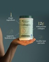 great-lakes-wellness-sustainable-marine--5.jpg