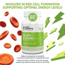 nutri-supreme-folate-with-b6-and-b12-hel-6.jpg
