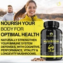 the-enclare-nutrition-mushroom-supplemen-4.jpg