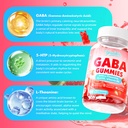 2-pack-gaba-gummies-500mg-with-l-theanin-5.jpg