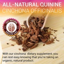 herbalicious-quinine-capsules-cinchona-o-4.jpg