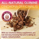 quinine-liquid-extract-4oz-restless-legs-4.jpg