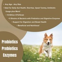 dogzymes-probiotic-max-10-billion-cfu-s--3.jpg