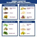yerba-prima-men-s-rebuild-cleansing-prog-4.jpg