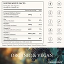 oasisforce-organic-elderberry-syrup-for--5.jpg