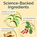 brainmd-balance-my-blood-sugar-metabolic-4.jpg