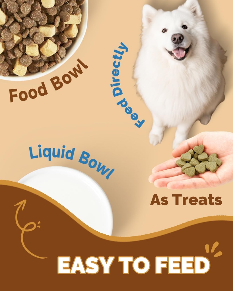 mushrooms-for-dogs-turkey-tail-mushroom--6.jpg
