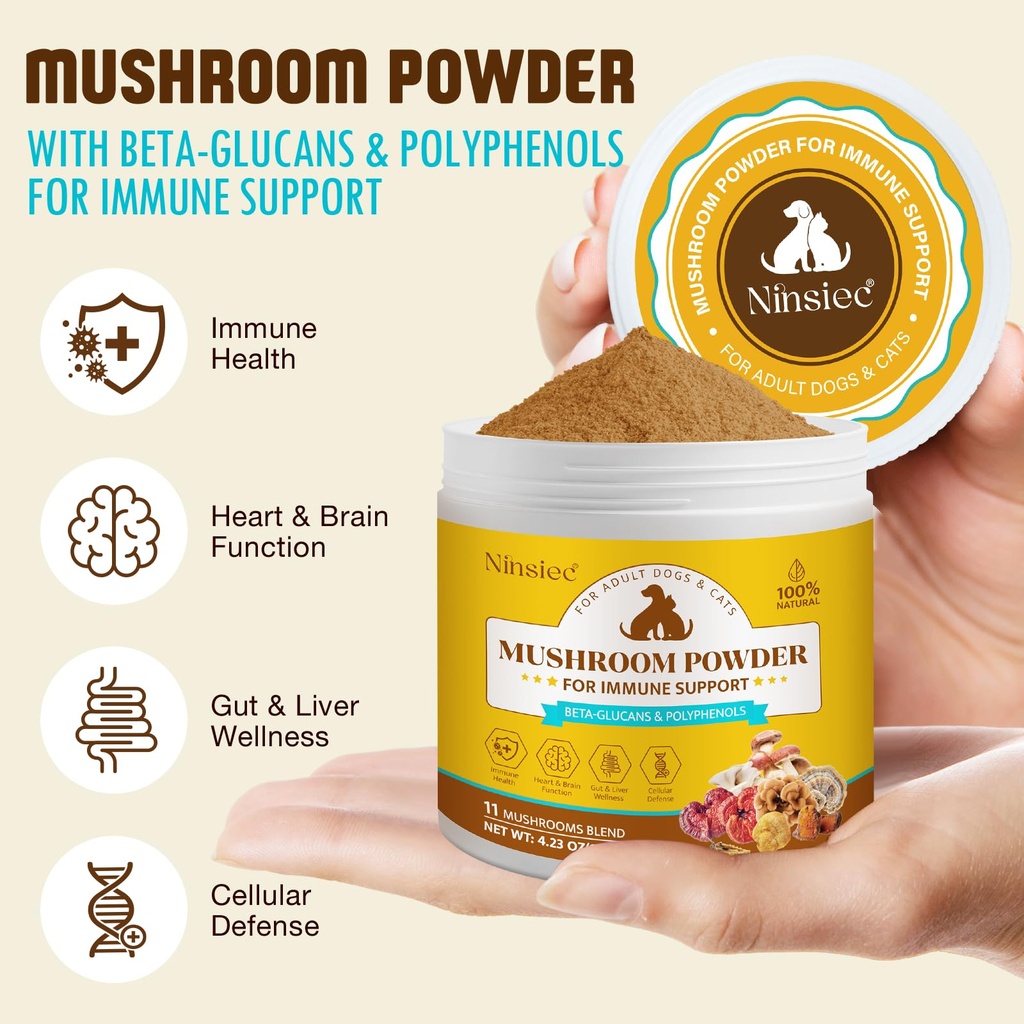 organic-mushroom-supplement-powder-for-d-3.jpg