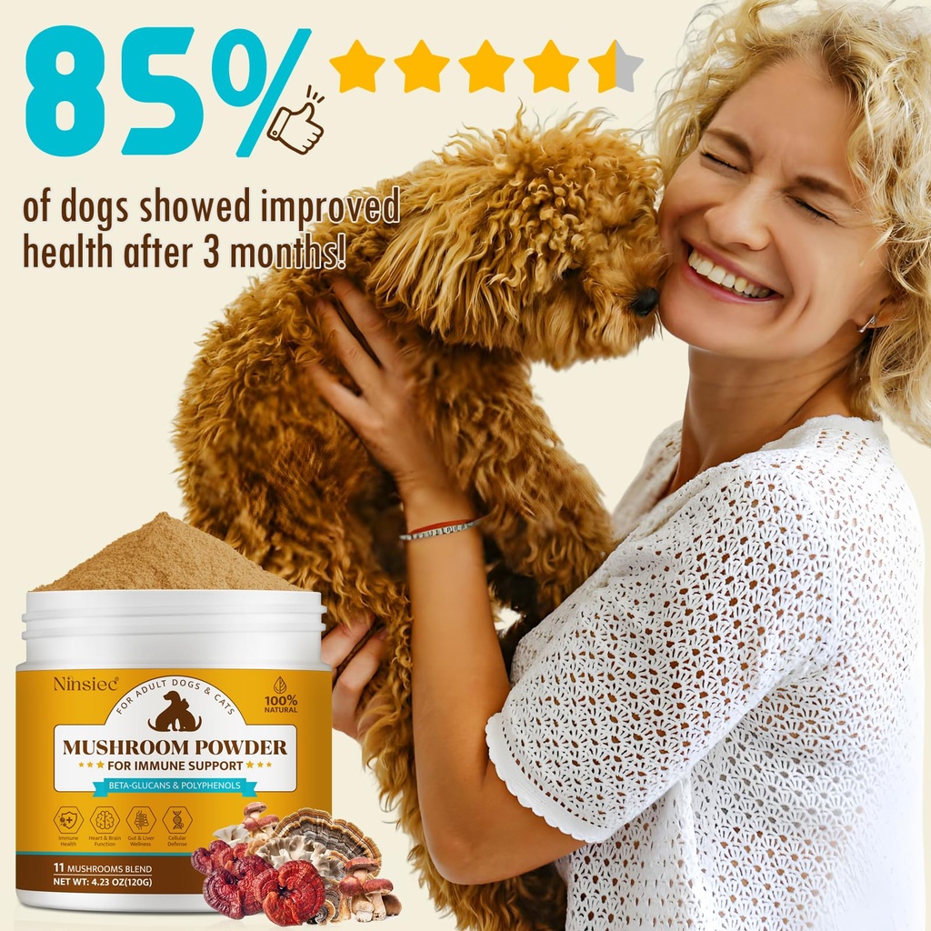 organic-mushroom-supplement-powder-for-d-6.jpg