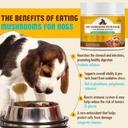 organic-mushroom-supplement-powder-for-d-5.jpg
