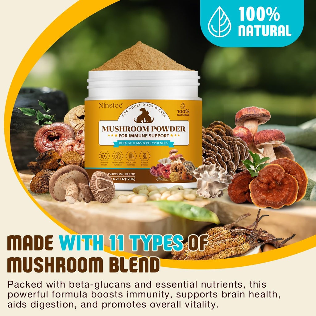 organic-mushroom-supplement-powder-for-d-2.jpg