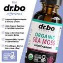 irish-sea-moss-liquid-drops-pure-organic-4.jpg