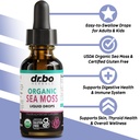 irish-sea-moss-liquid-drops-pure-organic-2.jpg