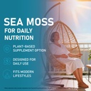 sea-moss-gummies-with-ashwagandha-root-b-4.jpg