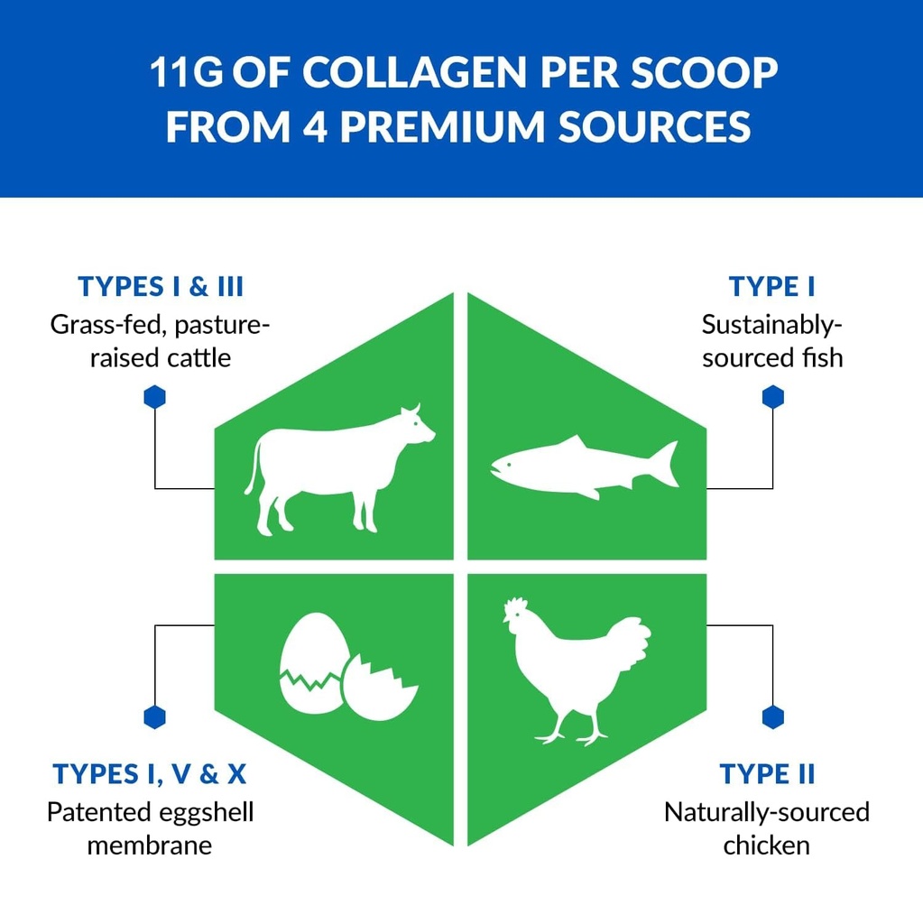 biotrust-multi-collagen-protein-powder-k-3.jpg