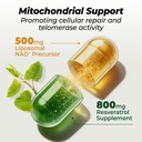 nad-resveratrol-supplement-7x-absorption-3.jpg