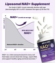 nad-supplement-for-brain-health-supports-6.jpg