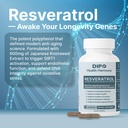 dipo-resveratrol-complex-600mg-trans-res-5.jpg