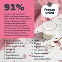milk-wealth-pure-mare-colostrum-powder-5-3.jpg