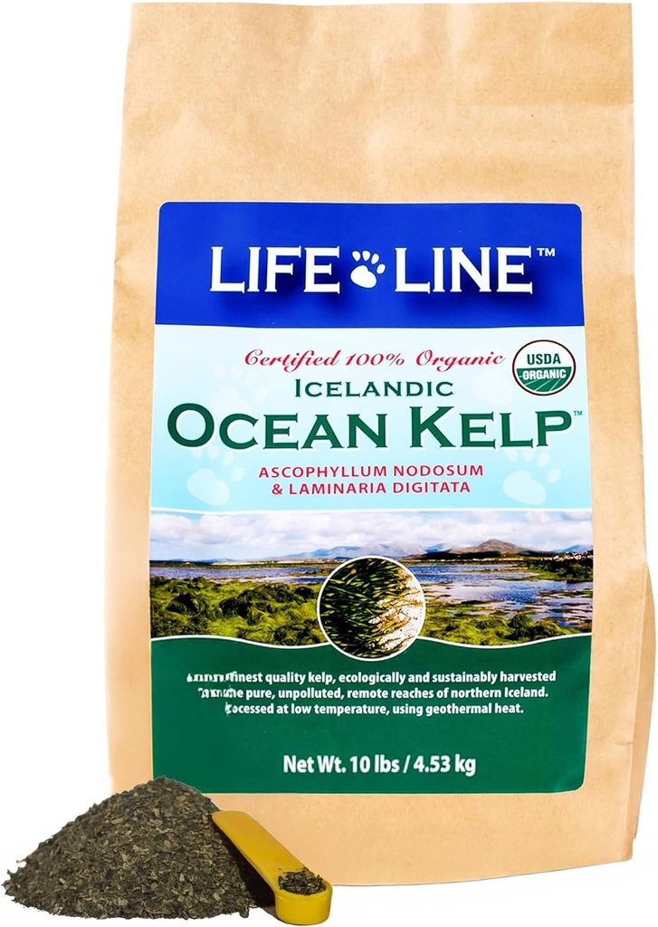 生命线 有机海洋罐头 猫、狗、家畜和马的Kelp – 支持皮肤、大衣和免疫健康 – 减少鞑靼、柏拉克和谢丁 – 增加代谢和辅助文摘 - 10 lb