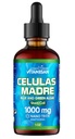 Celulas Madres Stem Cell Support, Plan-base, Adaptogen Blend, Cordyceps, Rhodiola Rosea, Afa, Astragalus, B Complex, Reishi, Ganoderma, 蓝绿色藻类, Spirulina, 1000mg 天然十三键成份.