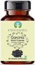 Garcinia 提取500mg - 60 蔬菜 Capsules - Garcinia Cambogia - 所有天然 100% Vegan - Gluten - Free - GMP 认证