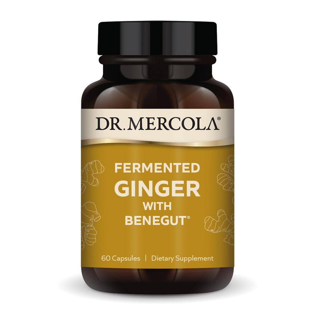 Mercola Fermented Ginger博士与Benegut -- -- 支持消化和古特健康 -- -- 偶发性气体、布洛丁和不适 -- -- 非GMO、无糖和无豆 -- -- 60个卡普尔(60个服务)