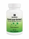 海口产品 橄榄叶