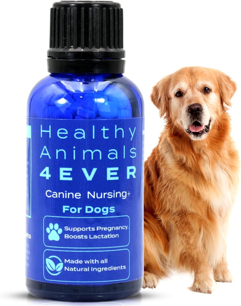 HA4E -- -- 警犬怀孕和护理支助 -- -- 促进哺乳和帮助预防怀孕和护理问题 -- -- 安全、快速行动、自然护理办法 -- -- 300 平板电脑