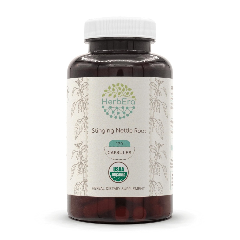 HerbEra Sting Nettle Root USDA 有机罐头120 Capsules 天然罐头补充 认证有机罐头和有机罐头