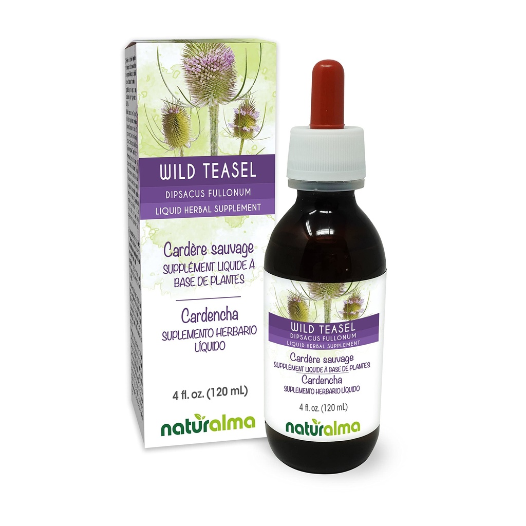 Naturmala Wild Teasel 或 Fuller 的 Teasel (Dipsacus fullonum 或 D. sylvestris) 根无酒精丁香 - 4 fl oz 液体在滴液中提取 - 草药补充 - Vegan