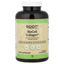 Vitacost ROOT2 含有Hyaluronic酸的生物圆柱体 -- -- 每人100毫克 -- -- 240卡普尔