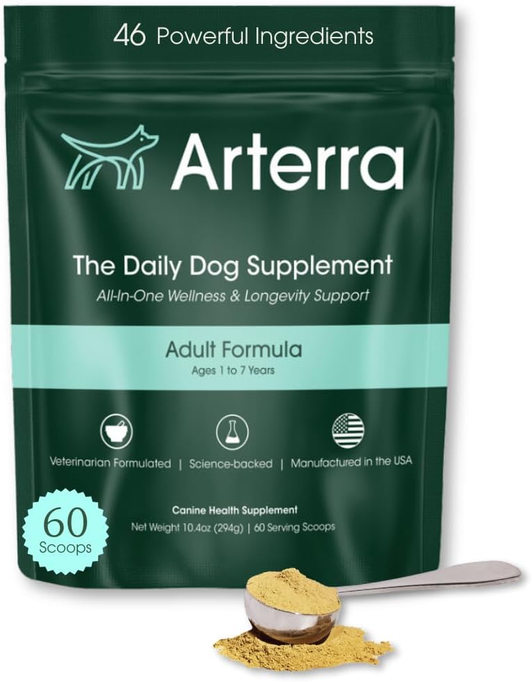 Adult Dog Powder Supplement & Food Topper – 46 Ingredients for Gut, Immune & Brain Health – Daily Longevity Multivitamin for Whole Body Wellness | 60 Scoops