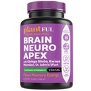 Notropic Brain Supplement for Focus, Energy, Memory and Clarity Booster – 成人快速吸收脑维生素 – 诺特罗西克药丸 With Ginkgo Biloba, St Johns Wort, Bacopa Monnieri