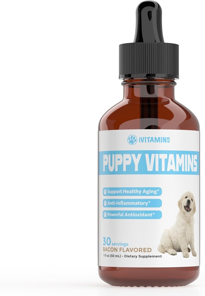 狗肉素 狗肉素 狗肉素 狗肉素 狗肉素 狗肉素 狗肉素 狗肉素 狗肉素 狗肉素 狗肉素 狗肉素 狗肉素 狗肉素 狗肉素 狗肉素 狗肉素 狗肉素 狗肉素 狗肉素 狗肉素 狗肉素 猪肉素 狗肉素 狗肉素 狗肉素 狗肉素 狗肉素 狗肉素 狗肉素 狗肉素 狗肉素 狗肉素 狗肉素 狗肉素 狗肉素 狗肉素 狗肉素 狗肉素 狗肉素 狗肉素 狗肉素 狗肉素 狗肉素 狗肉素 狗肉素 狗肉素 狗肉素 猪肉素 狗肉素 猪肉素 狗肉素 猪肉素 猪肉素 猪肉素 猪肉素 猪肉素 猪肉素 猪肉素 猪肉素 猪肉素 猪肉素 猪肉素 猪肉素