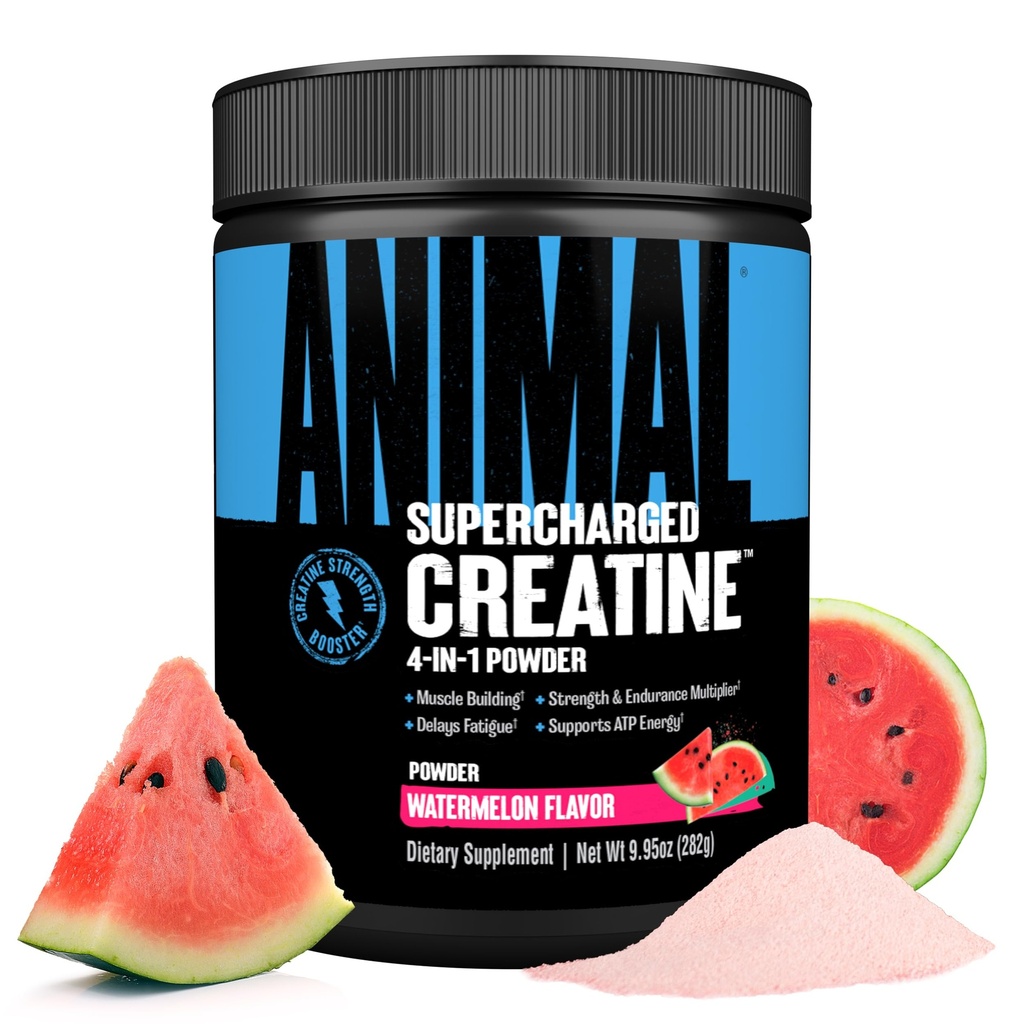 动物超充电Creatine Powder - Flavored Creatine Monohydrate 增量与Betaine Anhydrous,紫色Force & Senactiv, 强力,耐力,肌肉对男女的恢复 - 西瓜, 300g