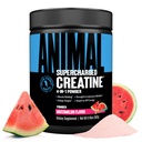 动物超充电Creatine Powder - Flavored Creatine Monohydrate 增量与Betaine Anhydrous,紫色Force & Senactiv, 强力,耐力,肌肉对男女的恢复 - 西瓜, 300g