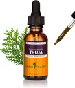 Herb Pharm Thuja 分支液体提取器 - 1 Ounce (DTHUJA01)