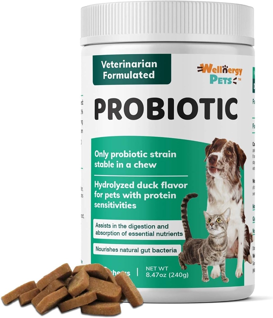 健康能量日报 Probiotic & Prebiotics Soft Chew for Dogs & Cats - 对腹泻,便秘,上胃,消化和气体的消化支持 - 帮助消化,过敏皮肤和免疫健康 160ct