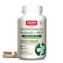 Jarrow Formats Saccharomyces Boulardii + MOS - 5亿个有机体 单人服务 - 180个延迟释放的Vegie Caps - Probiotic + 预生 - 肠道支架 - 最多180个服务