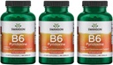 Swanson B6 Pyridoxine - 维生素补充剂促进心血管健康与能量代谢 - 自然公式促进整体健康 - (每包250卡普尔,100毫克) 3 Pack