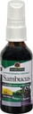自然之答 Sambucus Syrup 提取喷雾2 Fluid Ounces | Immune boster 在Go 旅行友好 | 富于抗氧化剂 | 天然免疫支持